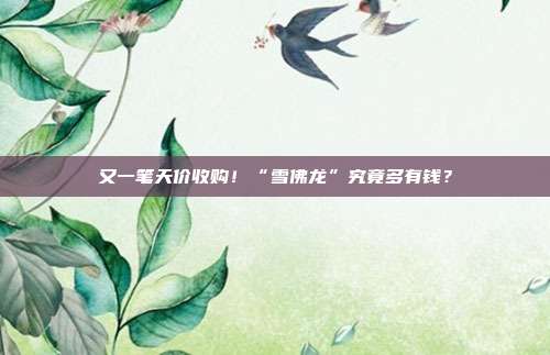 又一笔天价收购！“雪佛龙”究竟多有钱？