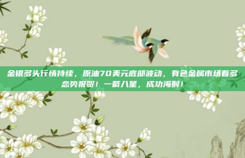 金银多头行情持续，原油70美元底部波动，有色金属市场看多态势祝贺！一箭八星，成功海射！