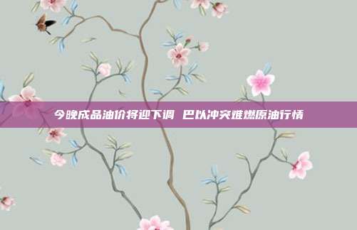 今晚成品油价将迎下调 巴以冲突难燃原油行情