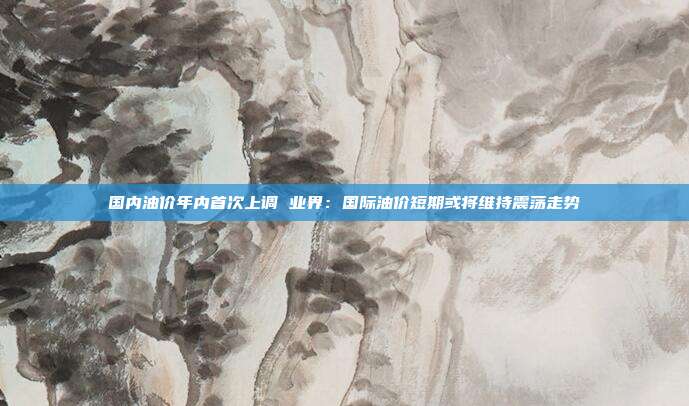 国内油价年内首次上调 业界：国际油价短期或将维持震荡走势