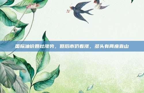 国际油价回吐涨势，但后市仍看涨，多头有两座靠山