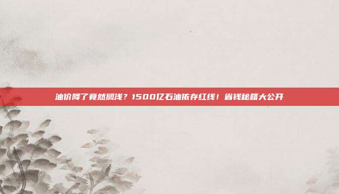 油价降了竟然搁浅？1500亿石油依存红线！省钱秘籍大公开