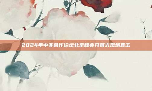 2024年中非合作论坛北京峰会开幕式现场直击