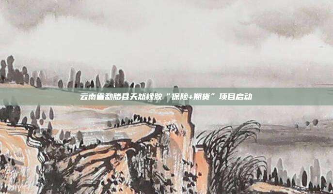 云南省勐腊县天然橡胶“保险+期货”项目启动