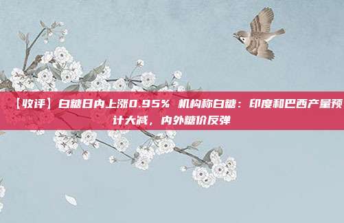 【收评】白糖日内上涨0.95% 机构称白糖：印度和巴西产量预计大减，内外糖价反弹
