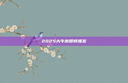 2025大牛市即将爆发