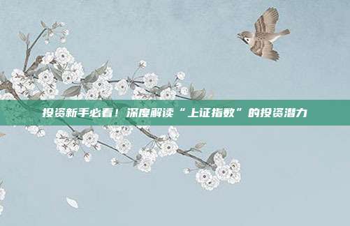投资新手必看！深度解读“上证指数”的投资潜力