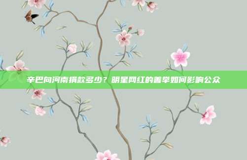 辛巴向河南捐款多少？明星网红的善举如何影响公众