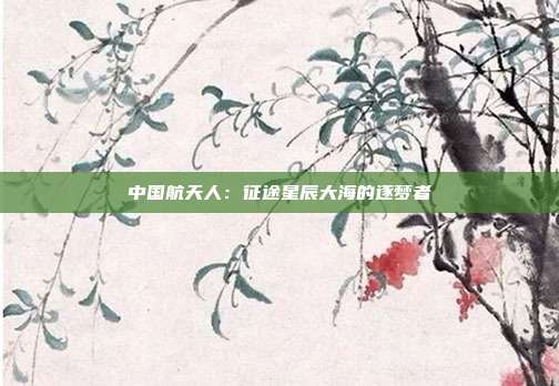 中国航天人：征途星辰大海的逐梦者