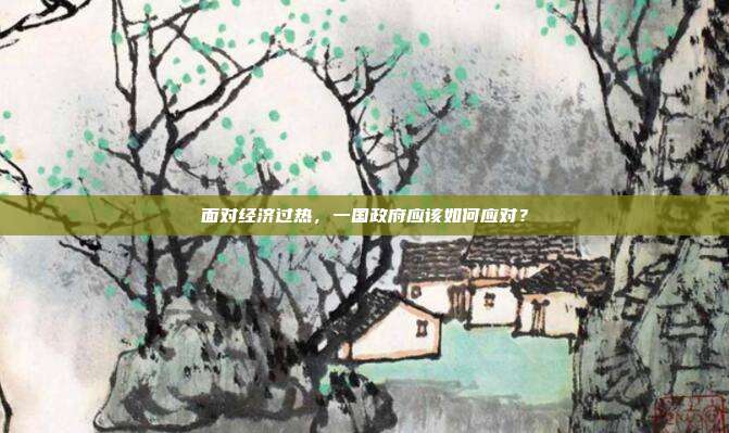 面对经济过热，一国政府应该如何应对？