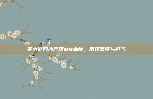 赛力斯回应昆明M9事故，展现责任与担当