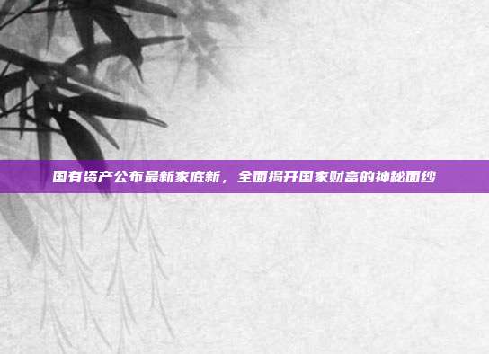 国有资产公布最新家底新，全面揭开国家财富的神秘面纱