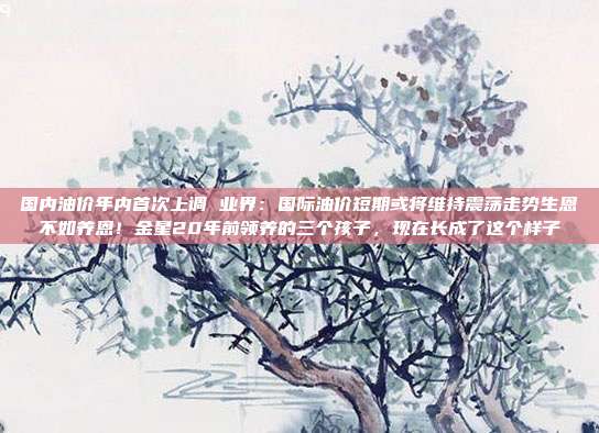 国内油价年内首次上调 业界：国际油价短期或将维持震荡走势生恩不如养恩！金星20年前领养的三个孩子，现在长成了这个样子