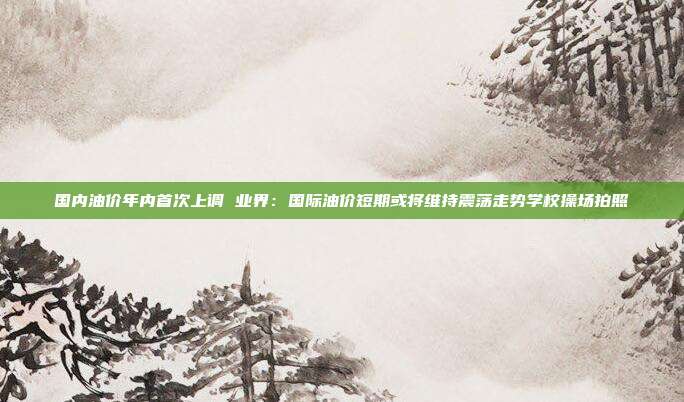 国内油价年内首次上调 业界：国际油价短期或将维持震荡走势学校操场拍照