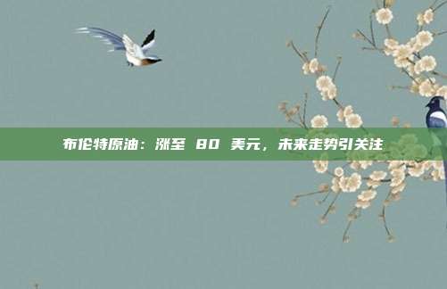布伦特原油：涨至 80 美元，未来走势引关注
