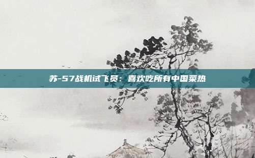 苏-57战机试飞员：喜欢吃所有中国菜热