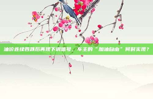 油价连续四跌后再现下调信号，车主的“加油自由”何时实现？