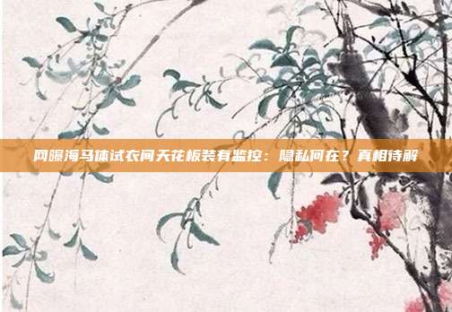 网曝海马体试衣间天花板装有监控：隐私何在？真相待解