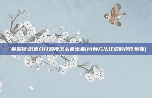 一键解锁:微信分付额度怎么套出来(14种方法详细的操作步骤)