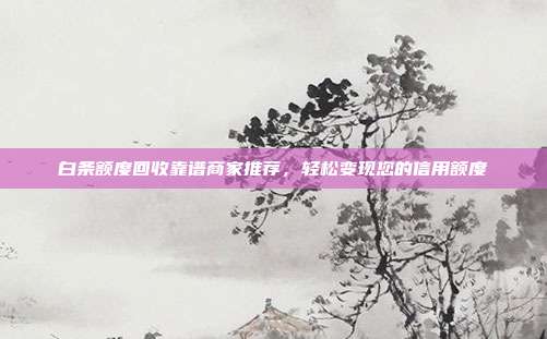 白条额度回收靠谱商家推荐，轻松变现您的信用额度
