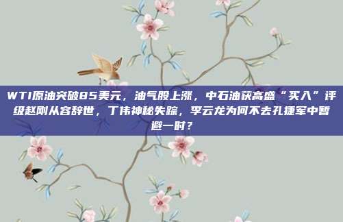 WTI原油突破85美元，油气股上涨，中石油获高盛“买入”评级赵刚从容辞世，丁伟神秘失踪，李云龙为何不去孔捷军中暂避一时？
