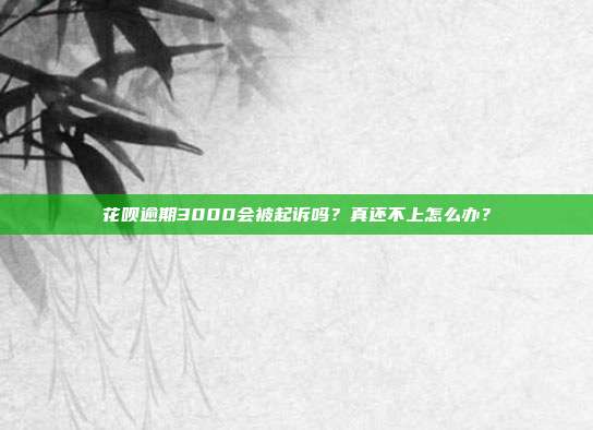 花呗逾期3000会被起诉吗？真还不上怎么办？