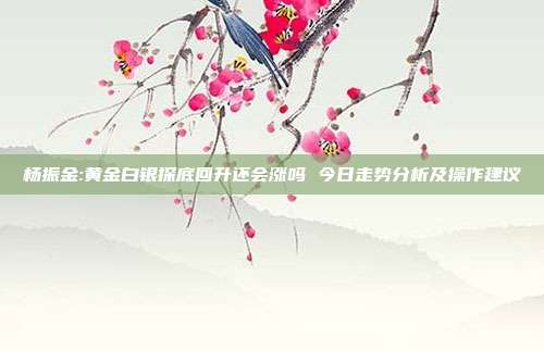 杨振金:黄金白银探底回升还会涨吗 今日走势分析及操作建议