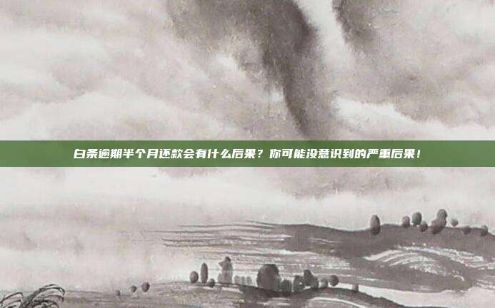 白条逾期半个月还款会有什么后果？你可能没意识到的严重后果！