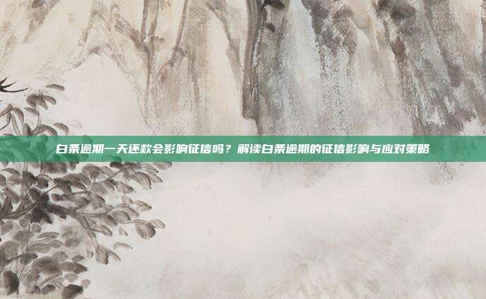白条逾期一天还款会影响征信吗？解读白条逾期的征信影响与应对策略