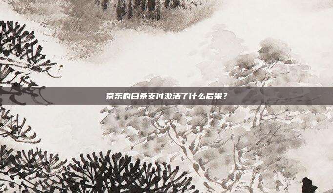 京东的白条支付激活了什么后果？