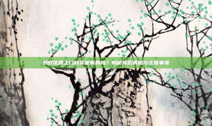 蚂蚁花呗上门核实是真的吗？揭秘背后真相与注意事项