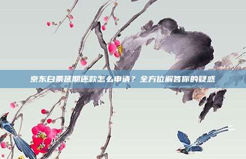 京东白条延期还款怎么申请？全方位解答你的疑惑