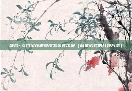 聚合~支付宝花呗额度怎么套出来（商家秒到的几种方法）