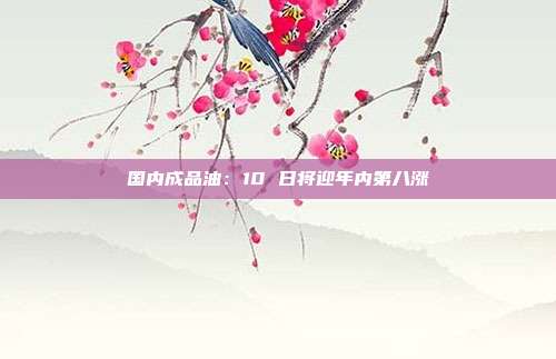国内成品油：10 日将迎年内第八涨