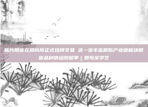 瓶片期货在郑商所正式挂牌交易 进一步丰富聚酯产业链板块期货品种供给殷韶苹‖跟母亲学艺