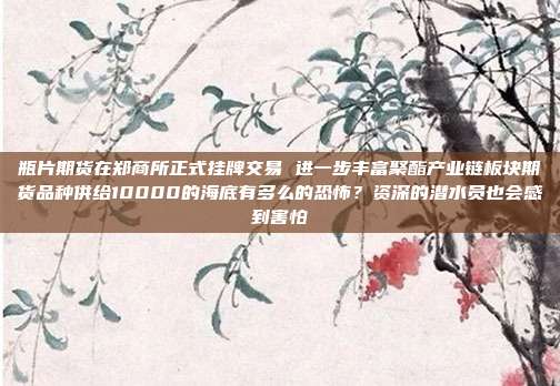 瓶片期货在郑商所正式挂牌交易 进一步丰富聚酯产业链板块期货品种供给10000的海底有多么的恐怖？资深的潜水员也会感到害怕