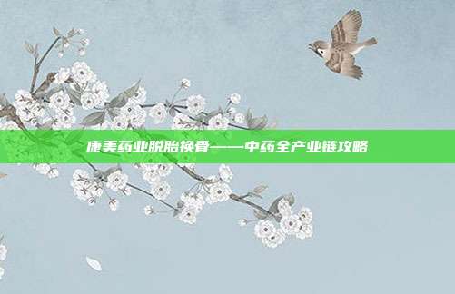 康美药业脱胎换骨——中药全产业链攻略