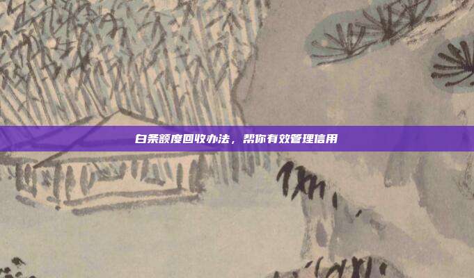白条额度回收办法，帮你有效管理信用