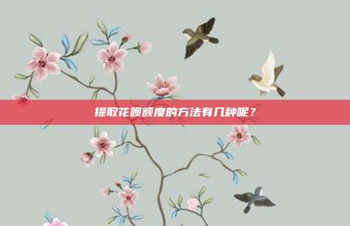 提取花呗额度的方法有几种呢？