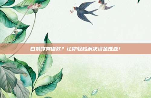 白条咋样借款？让你轻松解决资金难题！