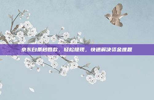 京东白条秒回款,轻松提现,快速解决资金难题