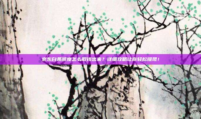 京东白条额度怎么取钱出来?详细攻略让你轻松提现!