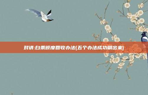 对讲:白条额度回收办法(五个办法成功刷出来)