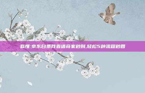 似懂:京东白条找靠谱商家秒到,轻松5种流程秒回