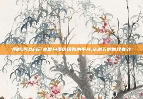 酷酷:可以自己套取白条信用购的平台,亲测五种教程有效