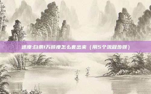 速度:白条1万额度怎么套出来（用5个流程步骤）