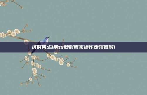 挤时间:白条tx秒到商家操作步骤图解!