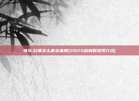 快乐:白条怎么套出来用(2025秒到账提现介绍)