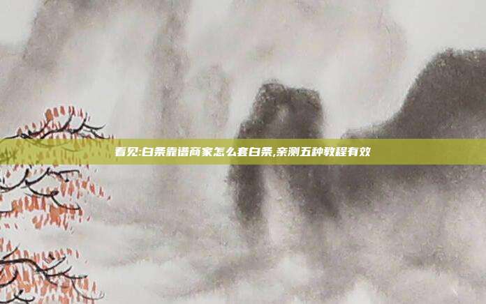 看见:白条靠谱商家怎么套白条,亲测五种教程有效