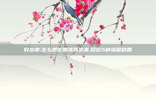 好态度:怎么把花呗钱弄出来,轻松5种流程秒回